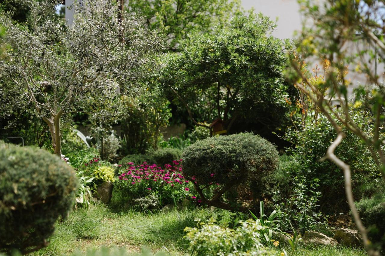 Apartment N&T Πούλα Εξωτερικό φωτογραφία